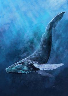 蓝鲸生活在哪里
